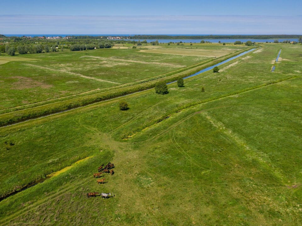 House | View from property