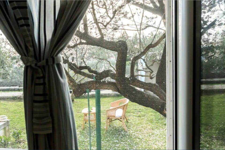 House | Garden