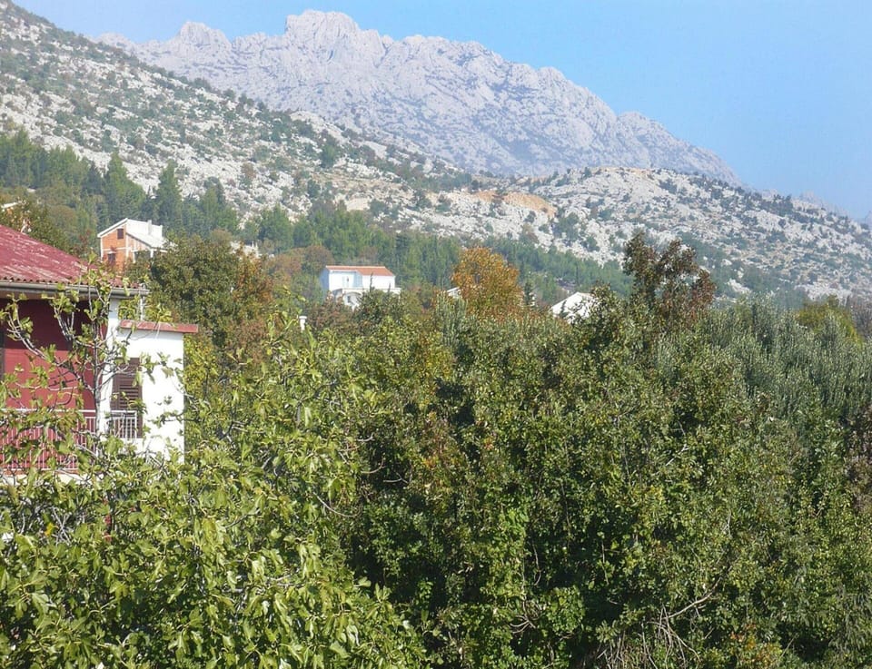 Apartment | View from property