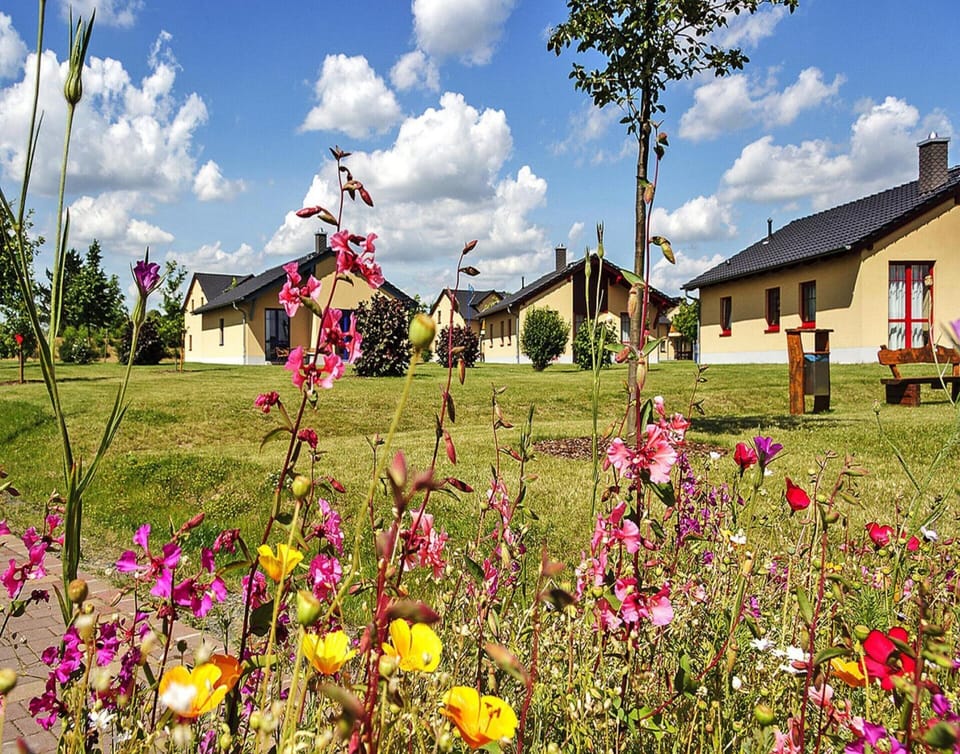 House | Garden