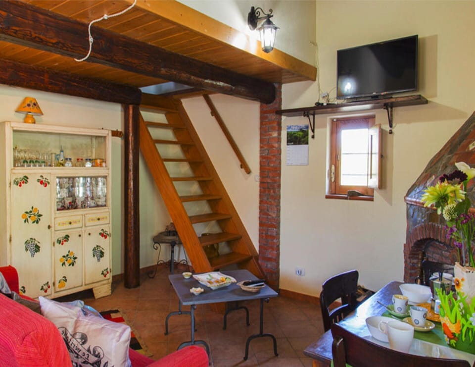 House | Living room | Fireplace
