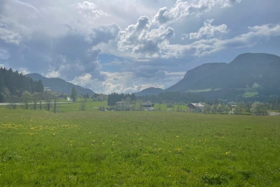 House | View from property