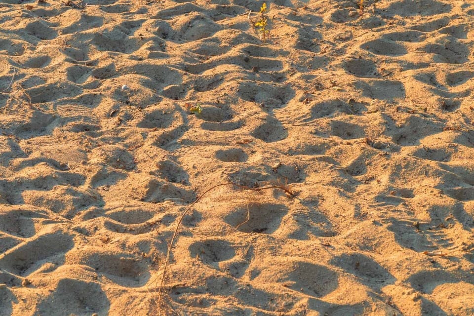 House | View from property