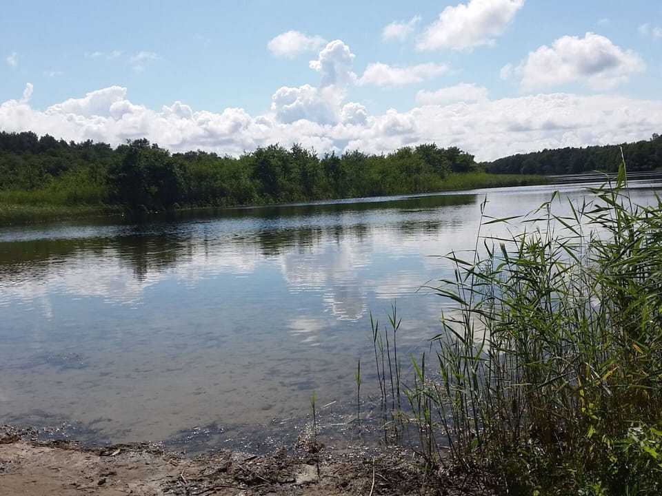 House | View from property