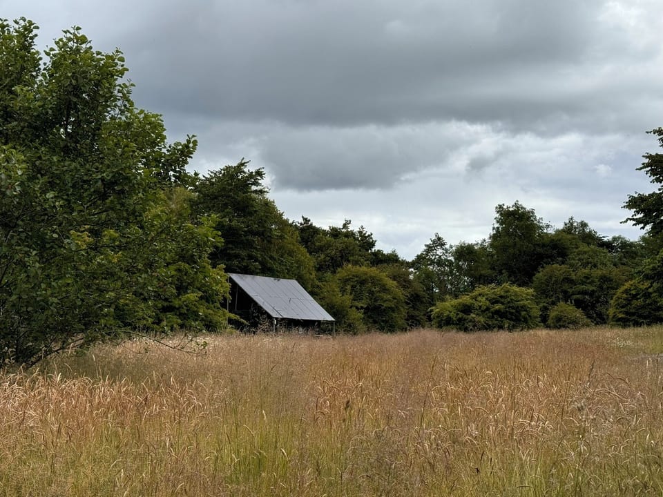 Our Retreat (5)