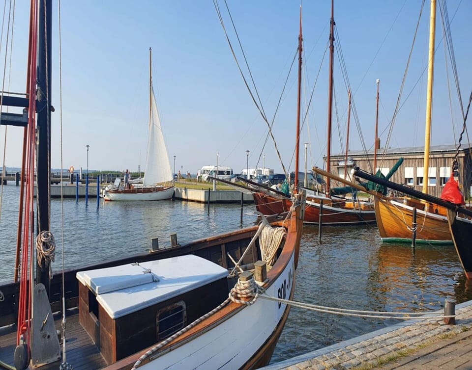 Luxushaus Boddenkuste mit Sauna House in Mecklenburg-Vorpommern, Germany