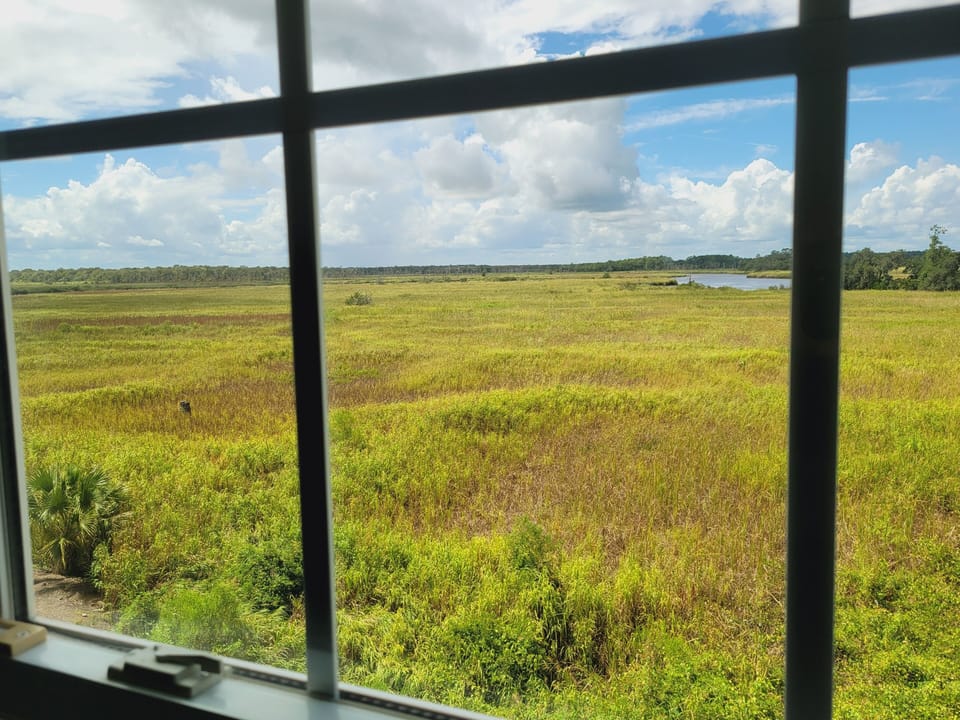 Looking out Master Bedroom Window
