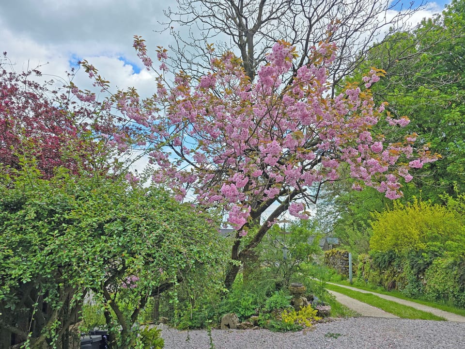 Exterior | Rock Cottage, Aldwark, near Brassington