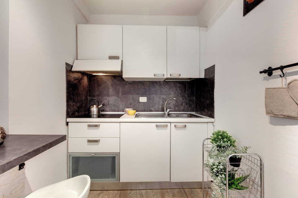 Studio | Private kitchenette | Full-size fridge, microwave, stovetop, coffee/tea maker