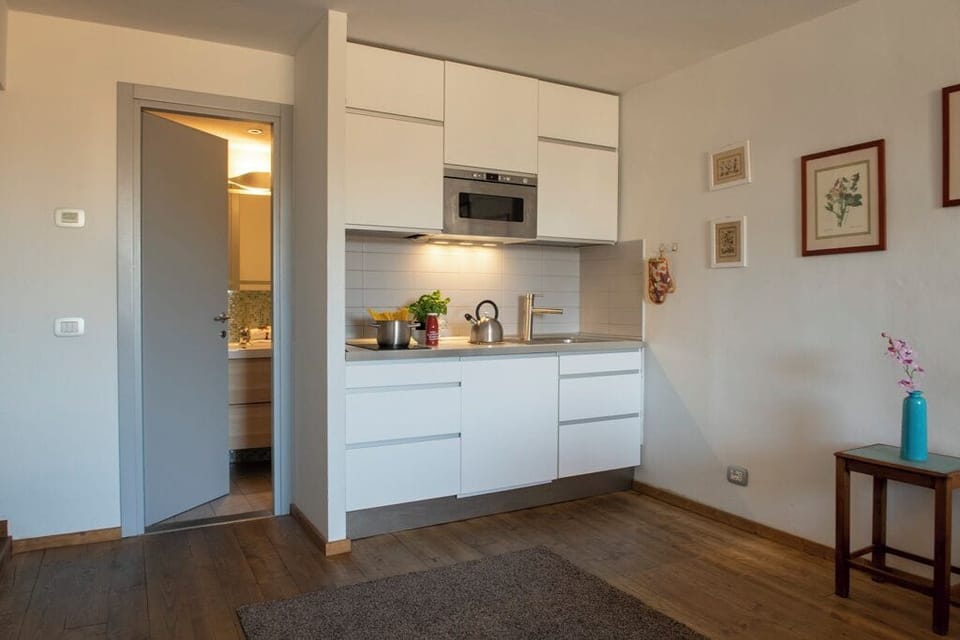 Apartment | Private kitchenette | Full-size fridge, microwave, stovetop, electric kettle