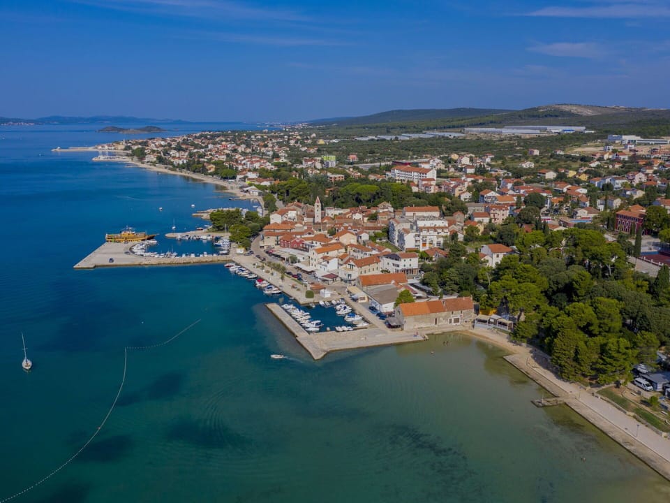 Plant, Flower, Property, Table, Building, Furniture, Window, Flowerpot, Shade, Houseplant