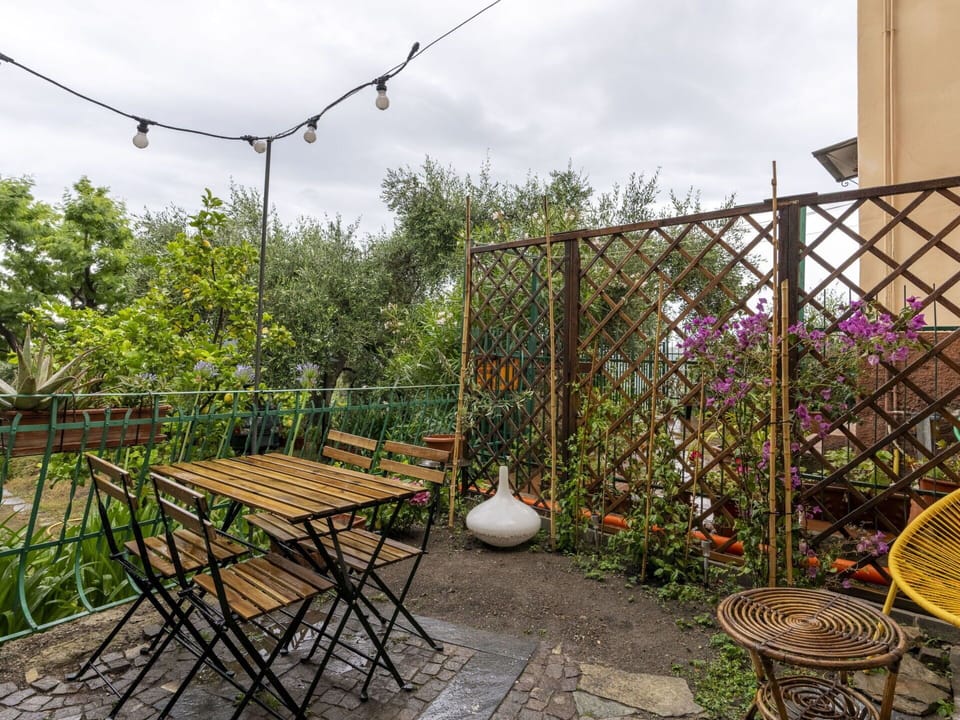 Plant, Furniture, Sky, Flower, Cloud, Chair, Outdoor Furniture, Table, Outdoor Table, Fence