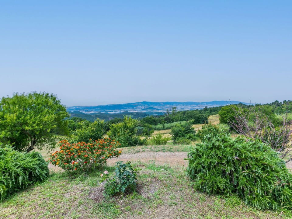 Sky, Plant, Natural Landscape, Flower, Land Lot, Grass, Groundcover, Grassland, Tree, Landscape