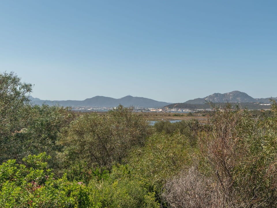 Sky, Mountain, Plant, Natural Landscape, Land Lot, Grass, Horizon, Landscape, Grassland, Tree
