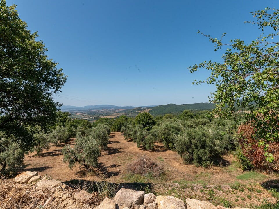 Sky, Plant, Plant Community, Ecoregion, Natural Landscape, Vegetation, Tree, Landscape, Grass, Bedrock