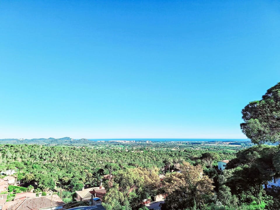 Sky, Plant Community, Plant, Coastal And Oceanic Landforms, Natural Landscape, Tree, Horizon, Grass, Arecales, Landscape