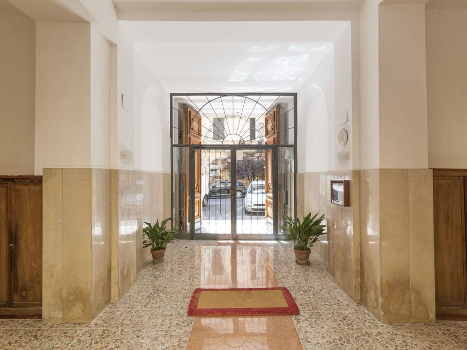 Property, Building, Plant, Wood, Houseplant, Architecture, Interior Design, Flooring, Hall, Floor