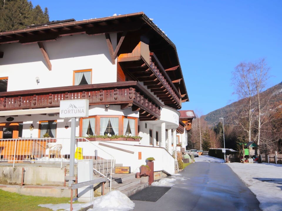 Balcony, Alps, Larch, Freezing