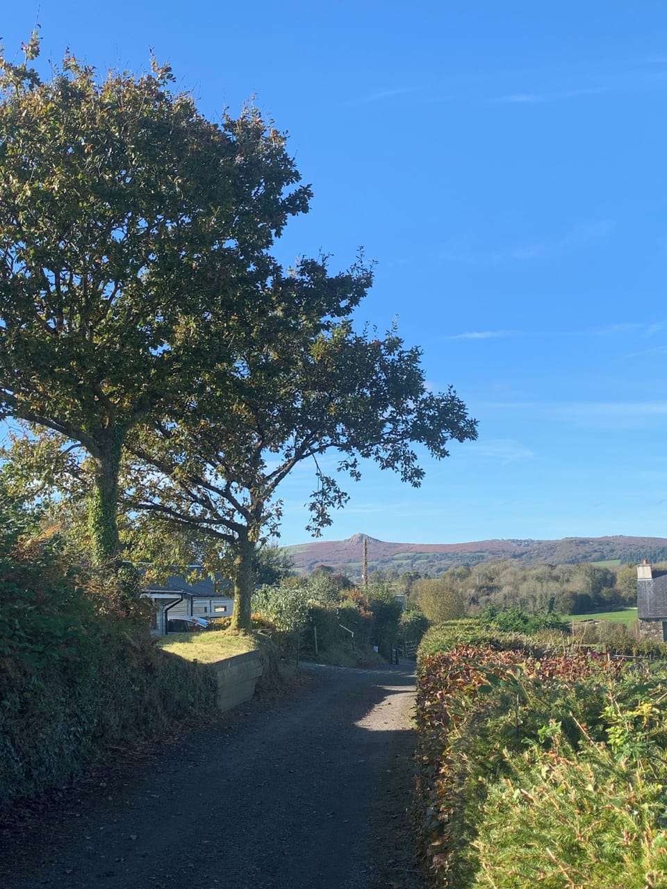 The drive, looking towards Sharp Tor.
