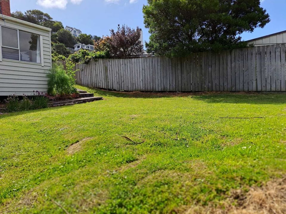Large backyard area