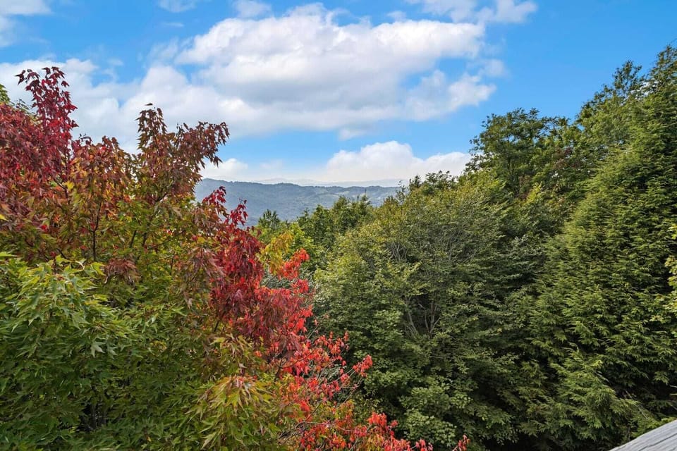Mountain Views