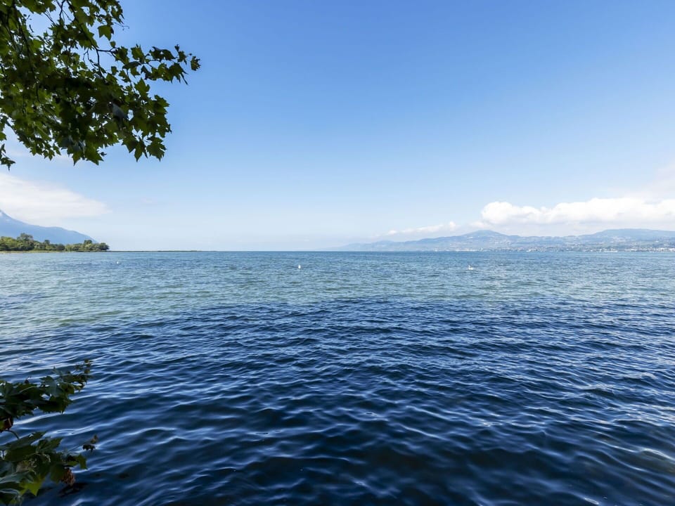Water, Cloud, Sky, Water Resources, Plant, Azure, Natural Landscape, Coastal And Oceanic Landforms, Lake, Tree