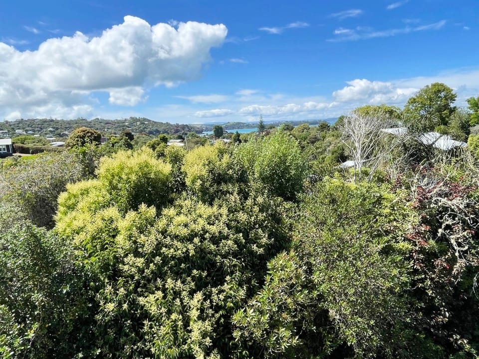 View from Balcony