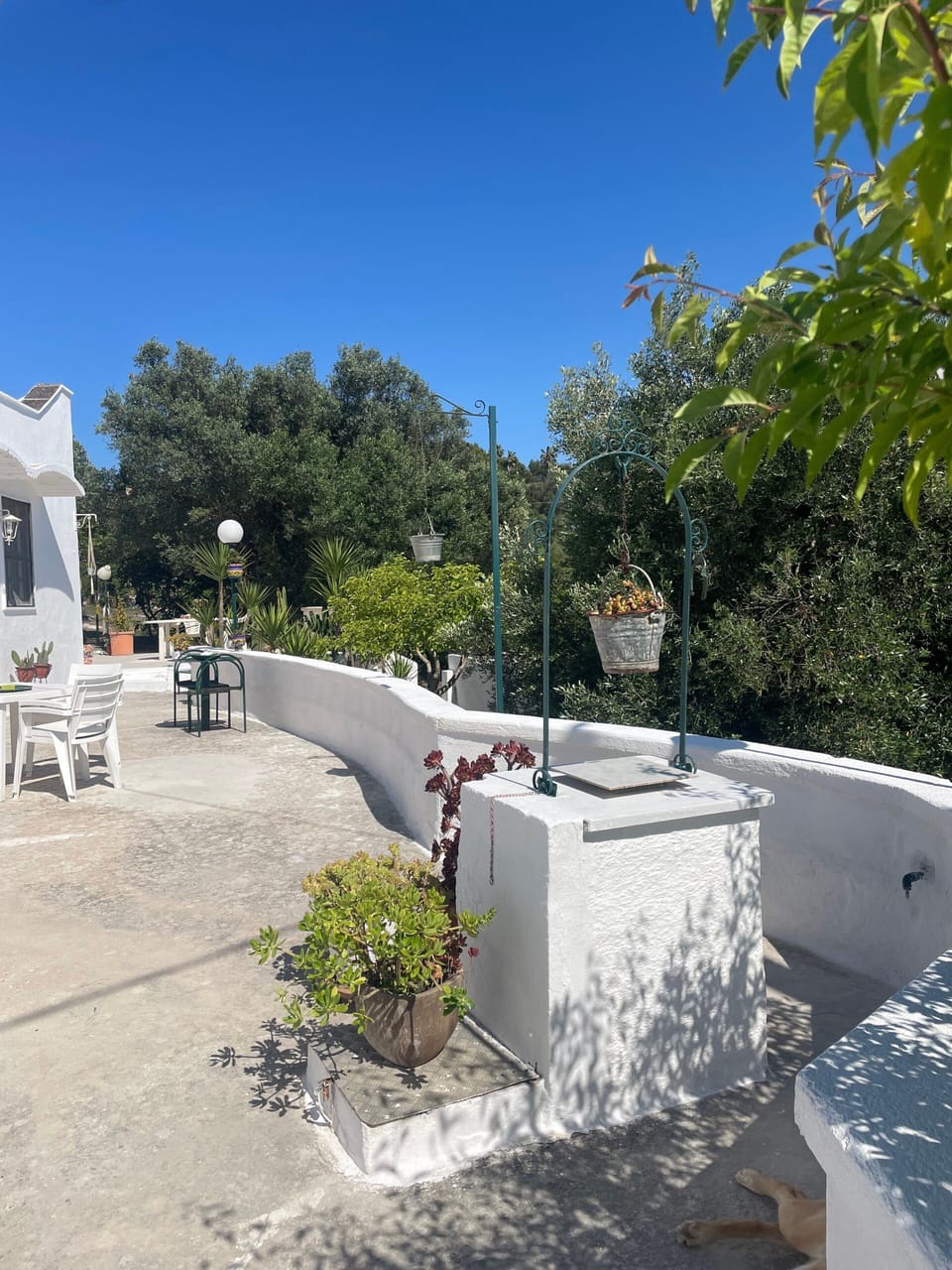 Terrace/patio
