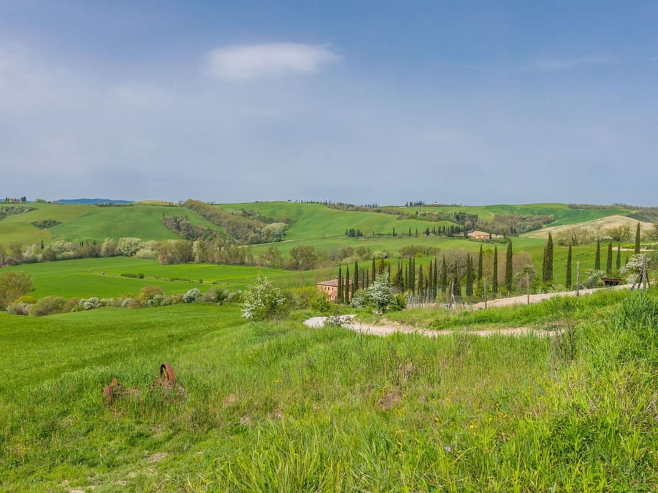Sky, Plant, Cloud, Natural Landscape, Land Lot, Tree, Agriculture, Grass, Plain, Grassland