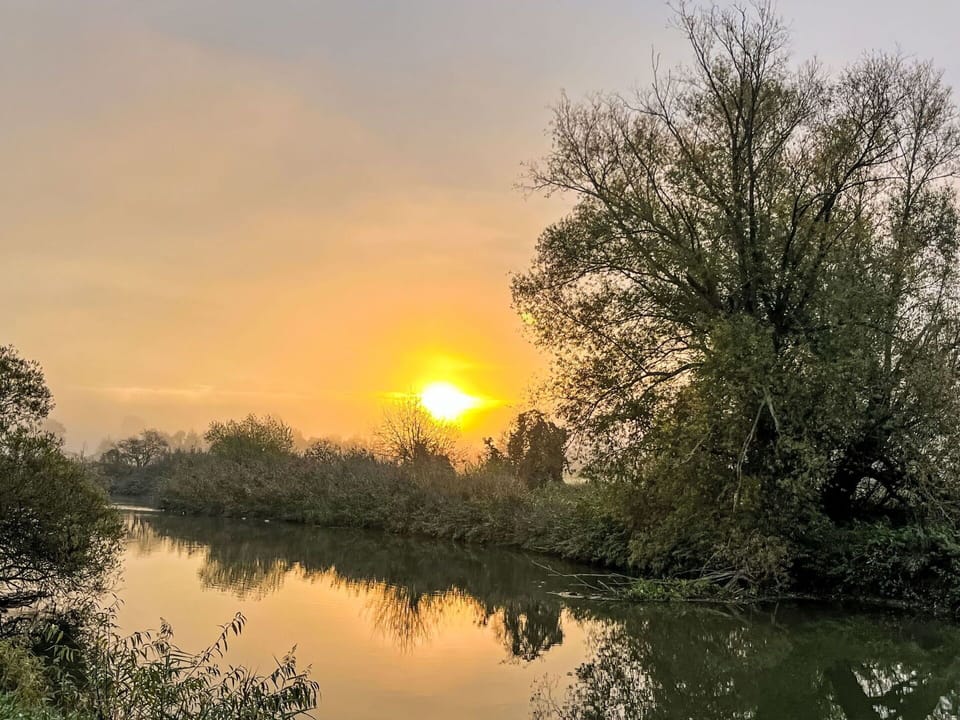 Water, Sky, Cloud, Water Resources, Ecoregion, Plant, Natural Landscape, Natural Environment, Afterglow, Branch
