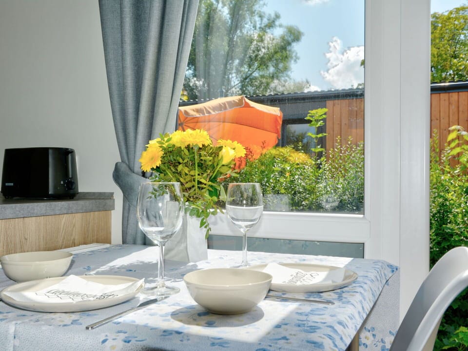 Table, Plant, Furniture, Tableware, Property, Window, Flower, Dishware, Drinkware, Textile