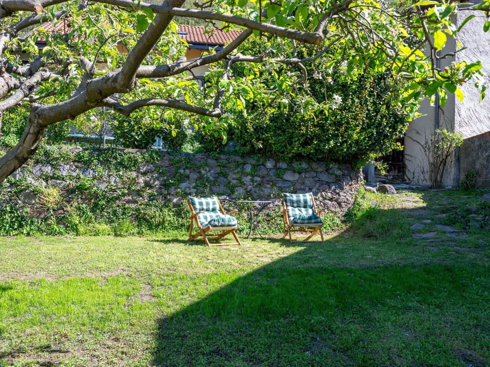 Plant, Furniture, Outdoor Bench, Shade, Natural Landscape, Land Lot, Vegetation, Outdoor Furniture, Grass, Bench