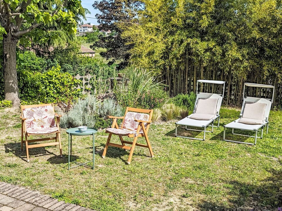 Plant, Furniture, Chair, Natural Landscape, Outdoor Furniture, Tree, Shade, Wood, Armrest, Grass