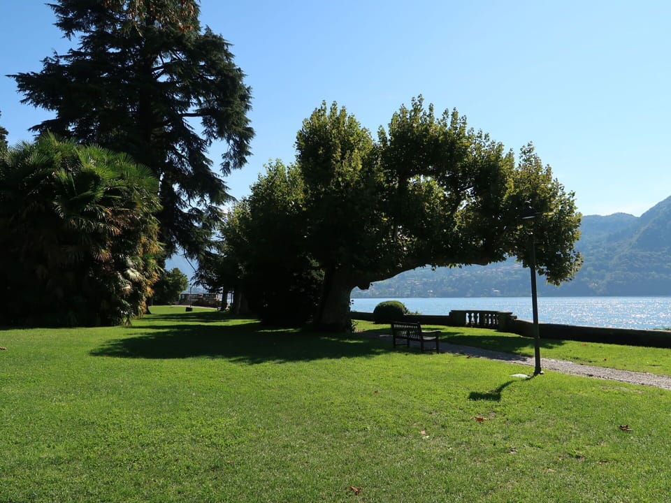 Grass, Natural Landscape, Landscape, Lawn, Outdoor Bench, Trunk, Garden, Lake, Park