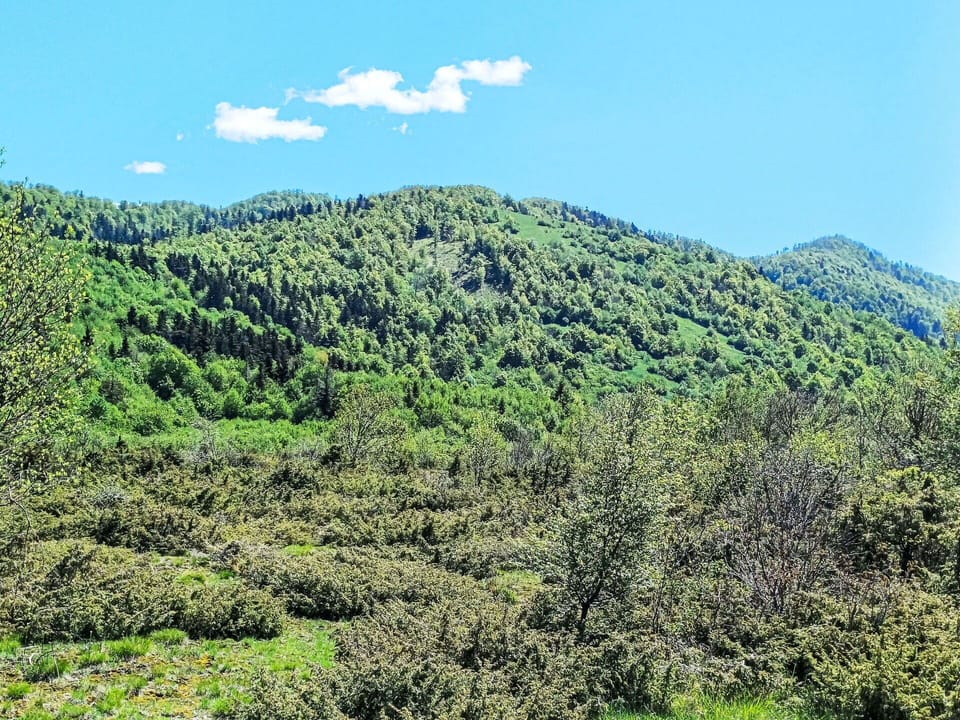 Sky, Cloud, Mountain, Green, Natural Landscape, Terrestrial Plant, Plant, Grass, Groundcover, Slope