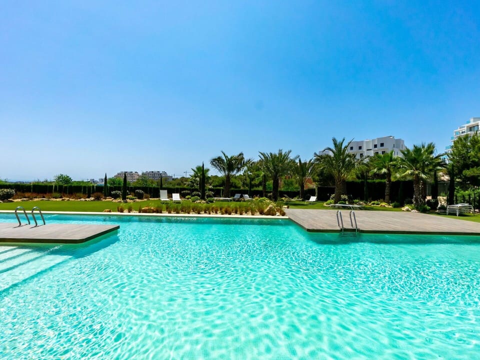 Water, Sky, Plant, Azure, Swimming Pool, Tree, Rectangle, Building, Arecales, Grass