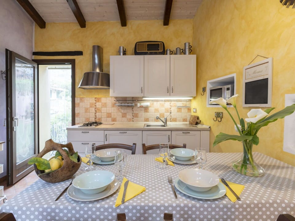 Property, Tableware, Dishware, Cabinetry, Plant, Window, Interior Design, Kitchen, Table, Kitchen Appliance