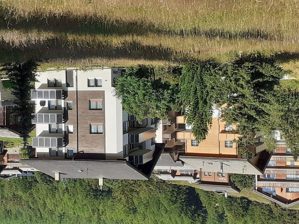 Plant, Building, Window, Architecture, Tree, Urban Design, Grass, Land Lot, Vegetation, Biome