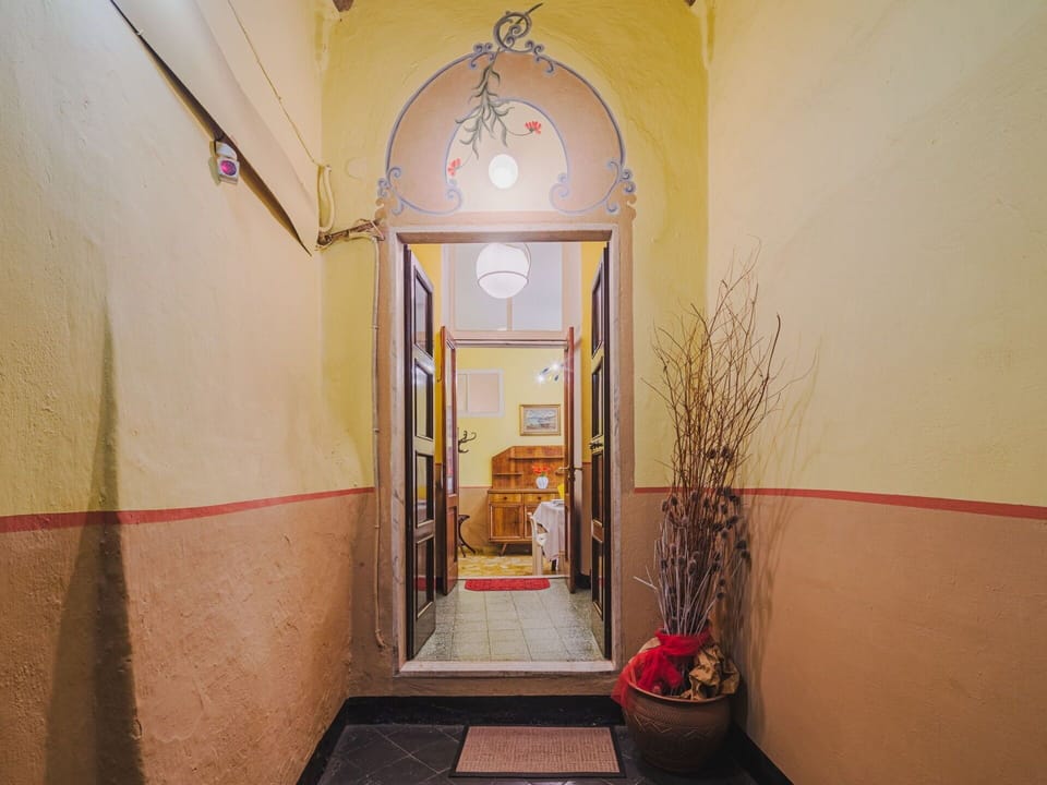 Building, Plant, Door, Houseplant, Flowerpot, Orange, Interior Design, House, Floor, Ceiling