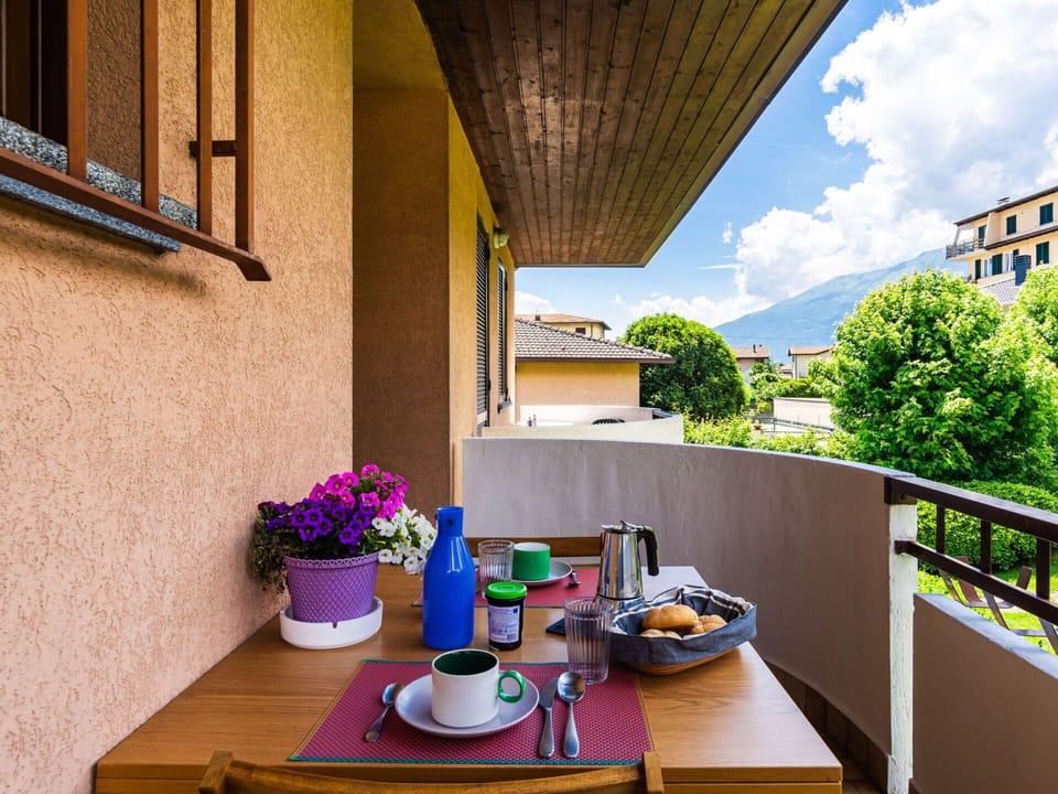 Table, Plant, Property, Tableware, Furniture, Cloud, Sky, Flowerpot, Building, Houseplant