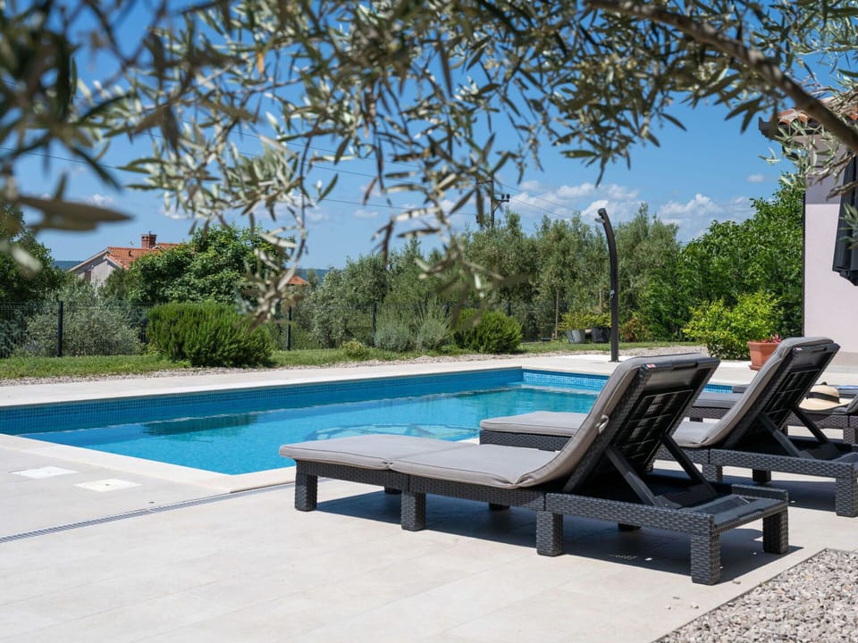 Sky, Water, Plant, Property, Swimming Pool, Azure, Outdoor Furniture, Shade, Sunlounger, Tree