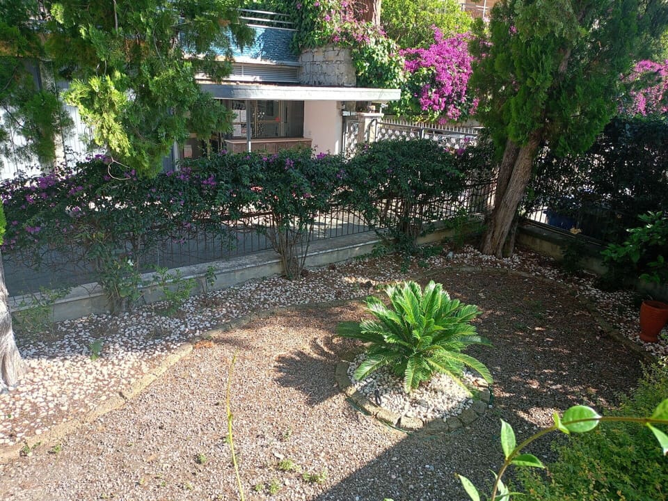 Plant, Property, Plant Community, Building, Vegetation, House, Grass, Tree, Public Space, Shrub