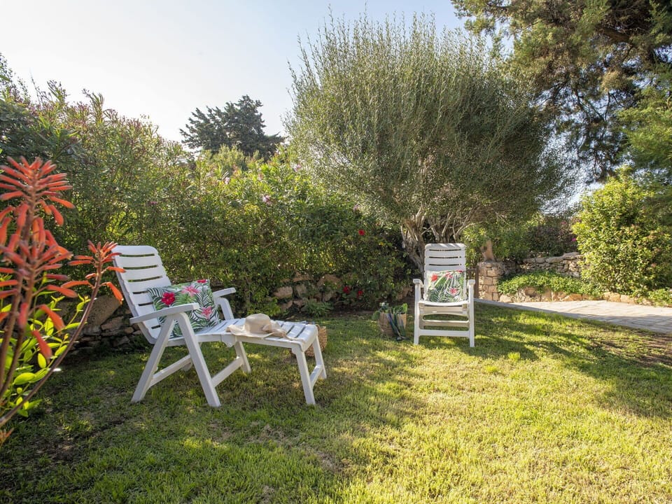 Plant, Sky, Furniture, Plant Community, Flower, Botany, Tree, Natural Landscape, Chair, Outdoor Furniture