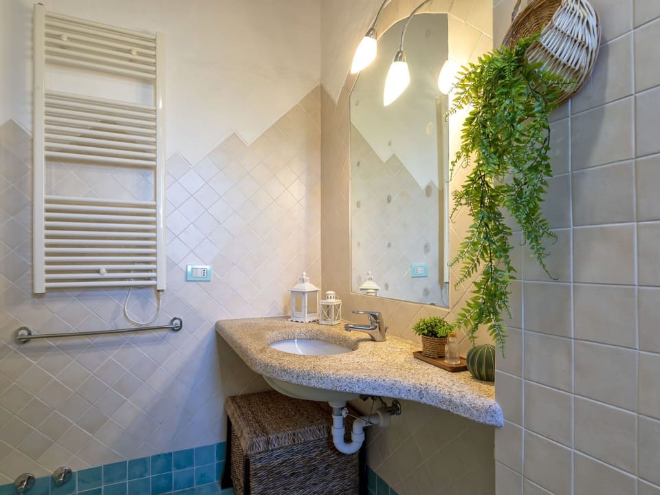 Tap, Sink, Plumbing Fixture, Property, Mirror, Bathroom Sink, Plant, Building, Bathroom, Interior Design
