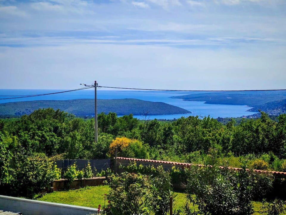 Sky, Blue, Horizon, Tropics, Evergreen