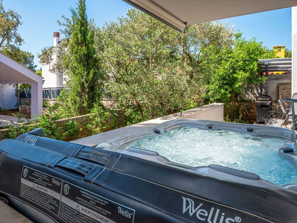 Plant, Water, Window, Swimming Pool, Shade, Sky, Tree, Vehicle, Automotive Exterior