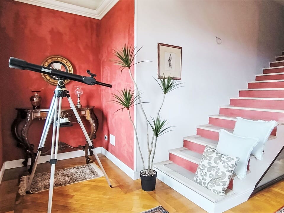 Plant, Wood, Houseplant, Flowerpot, Interior Design, Flooring, Floor, Hardwood, Building
