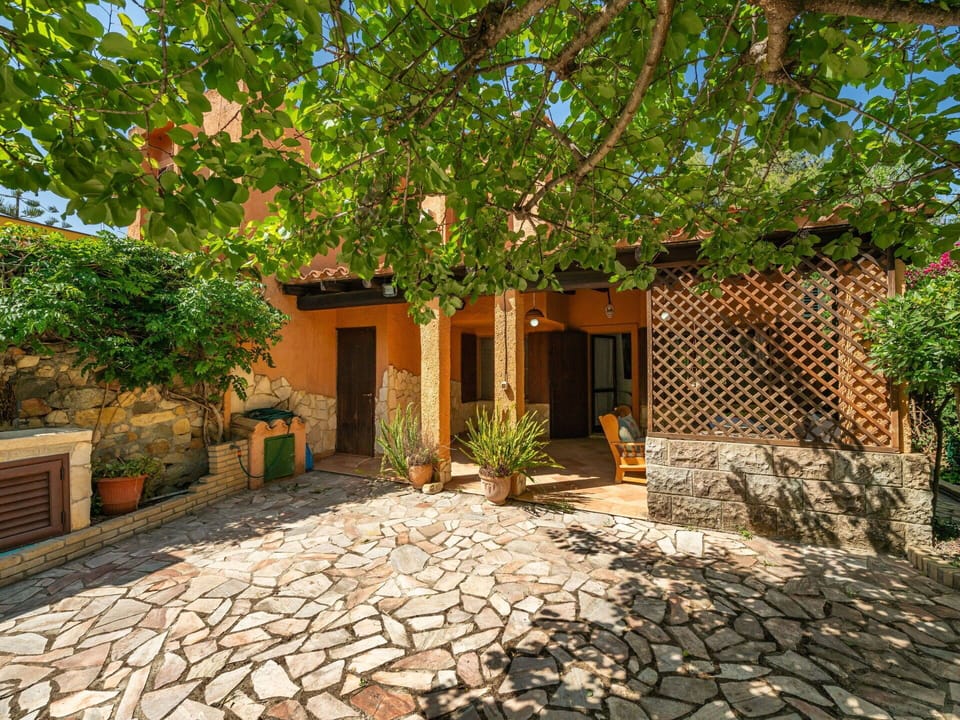 Plant, Building, Window, House, Road Surface, Door, Land Lot, Tree, Brick, Residential Area
