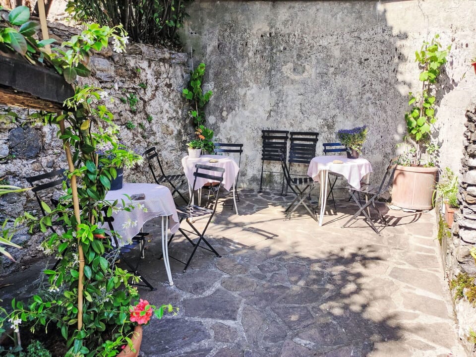 Plant, Property, Table, Chair, Outdoor Table, Road Surface, Flower, Outdoor Furniture, Grass, Landscape