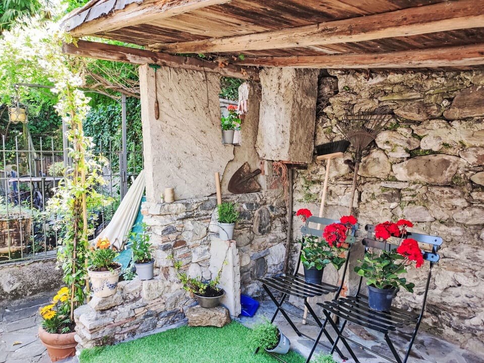 Flower, Plant, Building, Window, Flowerpot, Wood, House, Grass, Cottage, Landscape